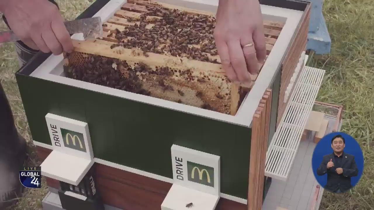 [글로벌 스토리] 초소형 패스트푸드점, 손님은 ‘꿀벌’
