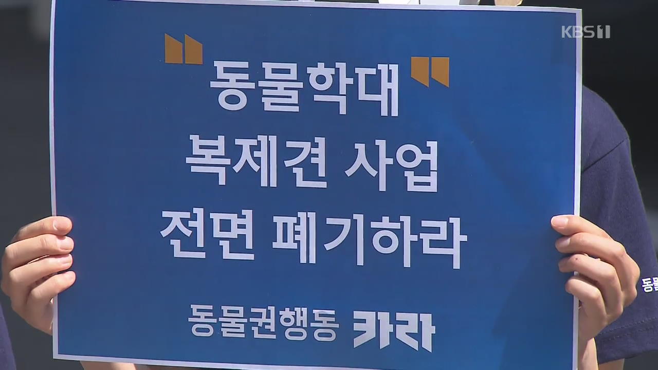 서울대, 이병천 교수 수사의뢰…카라, 동물실험 실험견 사망 추가 폭로