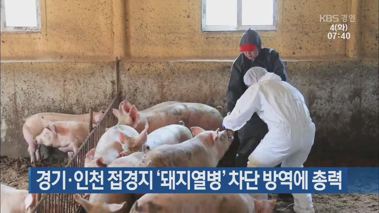 경기·인천 접경지 ‘돼지열병’ 차단 방역에 총력