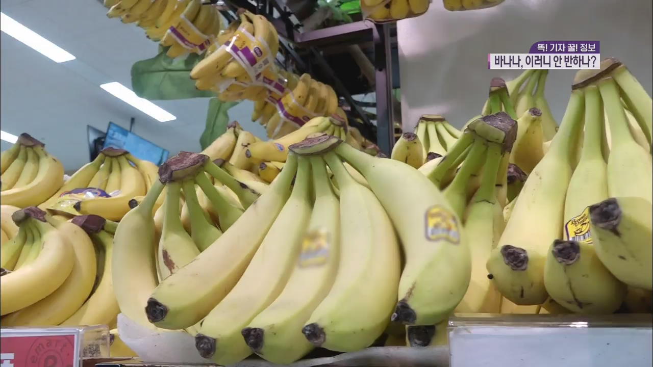 [똑! 기자 꿀! 정보] ‘1인 가구·다이어트’에 바나나, 이러니 안 반하나?