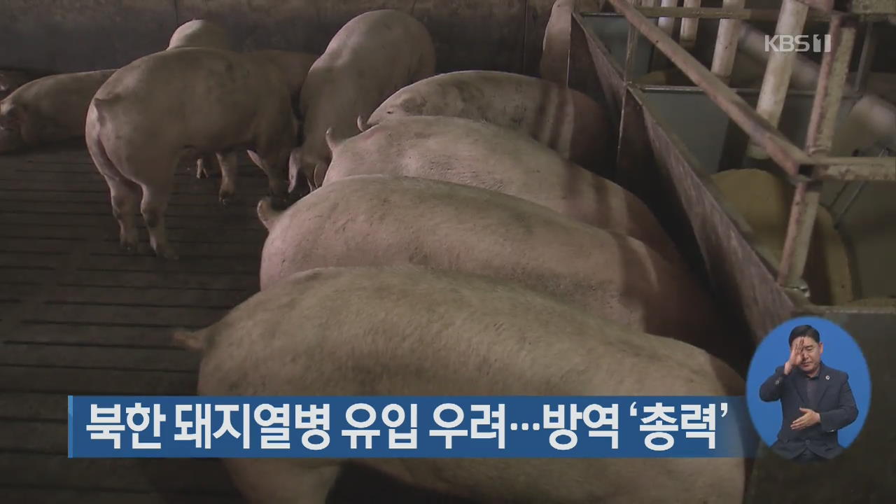 북한 돼지열병 유입 우려…방역 ‘총력’