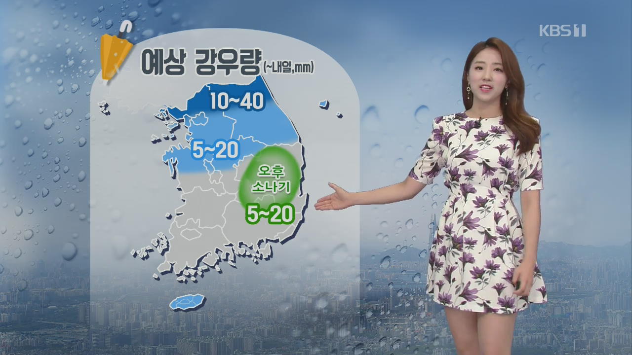 [날씨] 전국 흐리고 비…서울·중부 천둥·번개 동반
