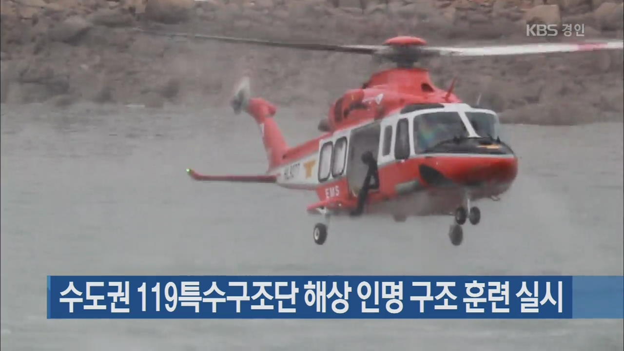 수도권 119특수구조단 해상 인명 구조 훈련 실시