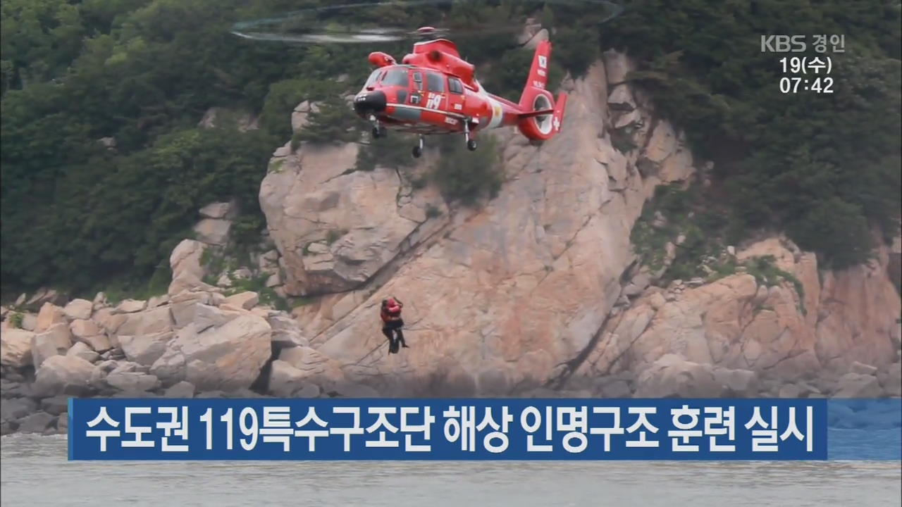 수도권 119특수구조단 해상 인명구조 훈련 실시