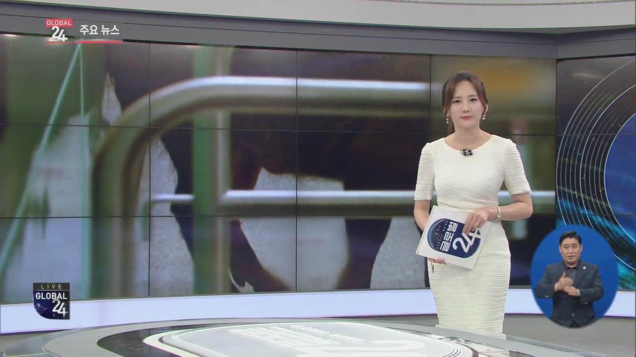 [글로벌24 주요뉴스] 홍콩, 멧돼지 지하철역 출몰…1명 부상