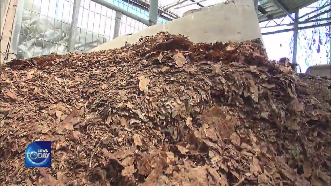TOXIC FERTILIZER PLANT