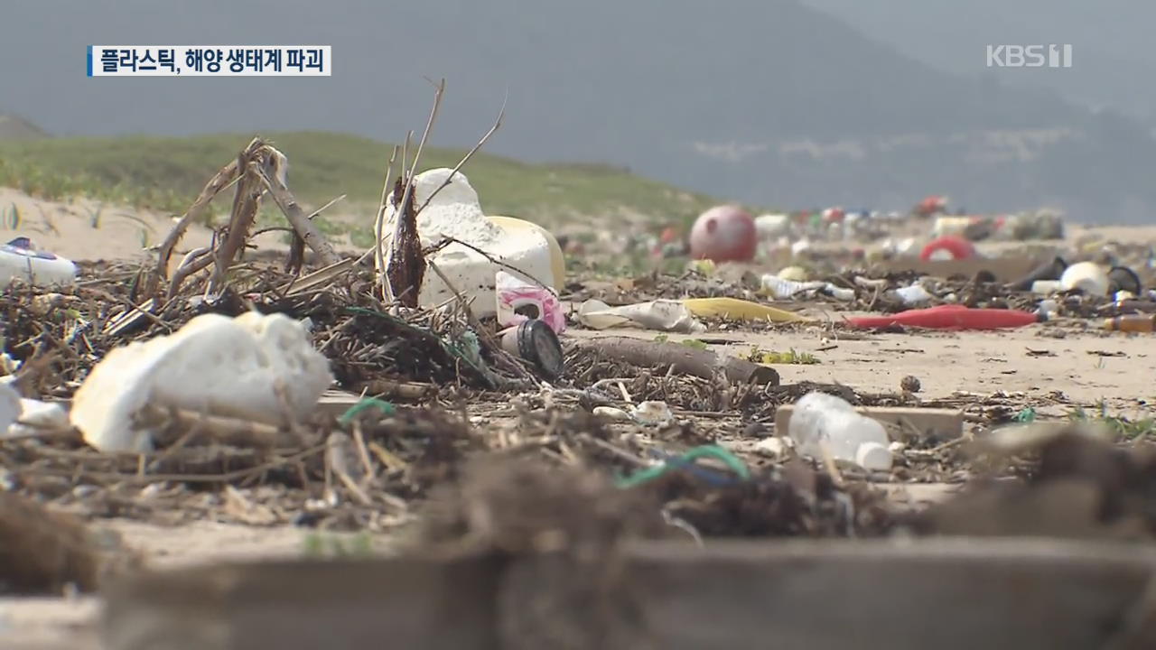플라스틱 쓰레기, 해양 생태 파괴 주범…인간까지 위협