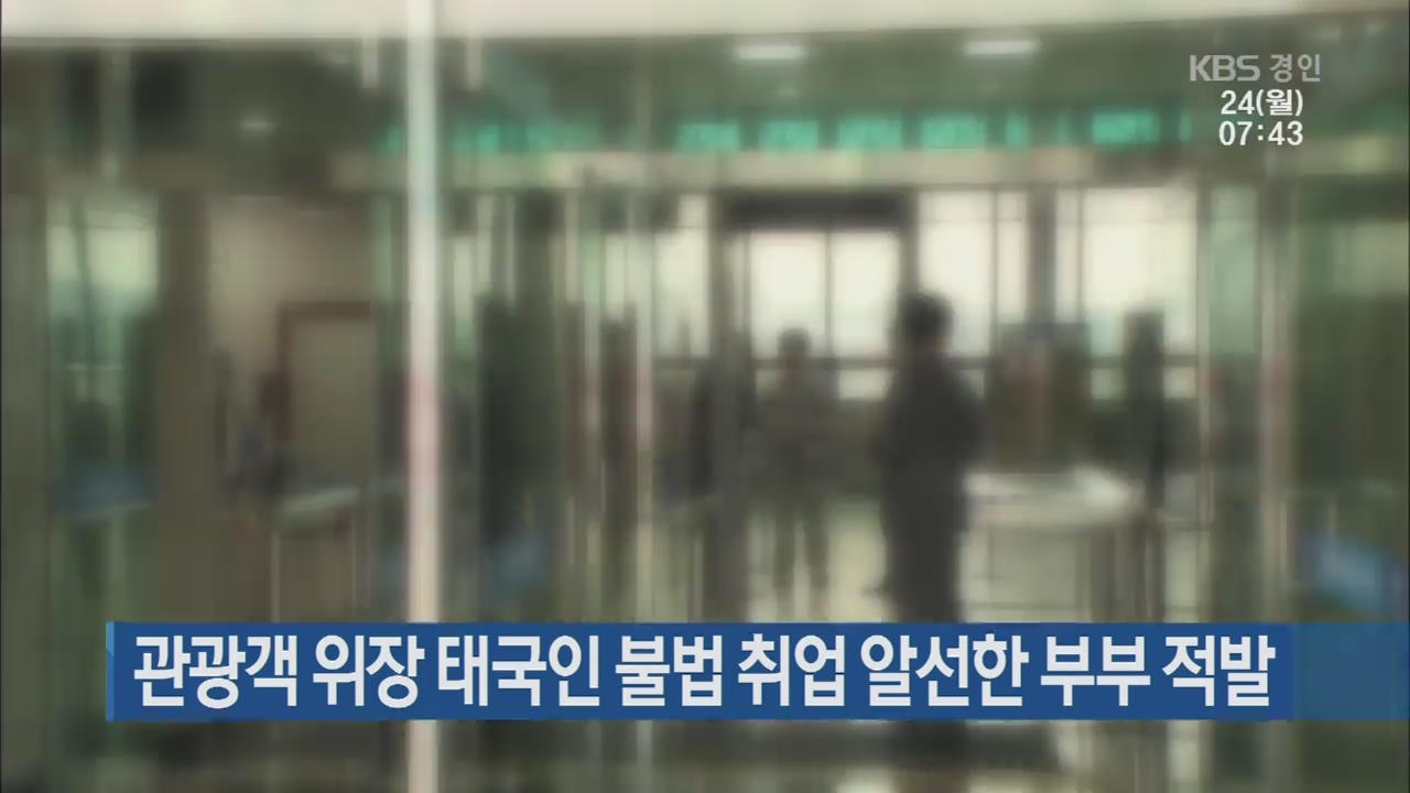 관광객 위장 태국인 불법 취업 알선한 부부 적발