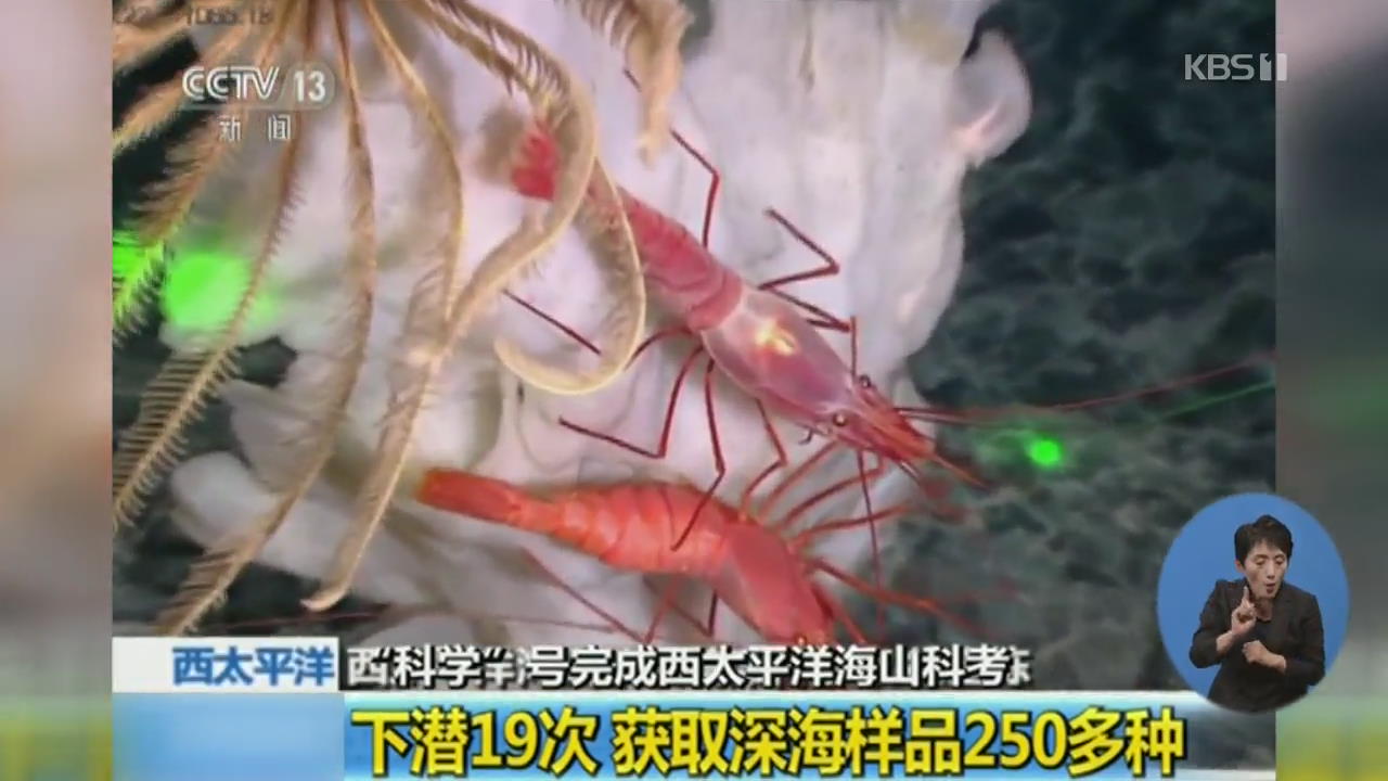 중국, 서태평양 심해서 거대 생물 250종 샘플 획득