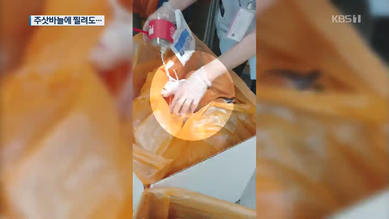 [영상] 주삿바늘 ‘푹푹’ 찔려도…비닐장갑 한장뿐