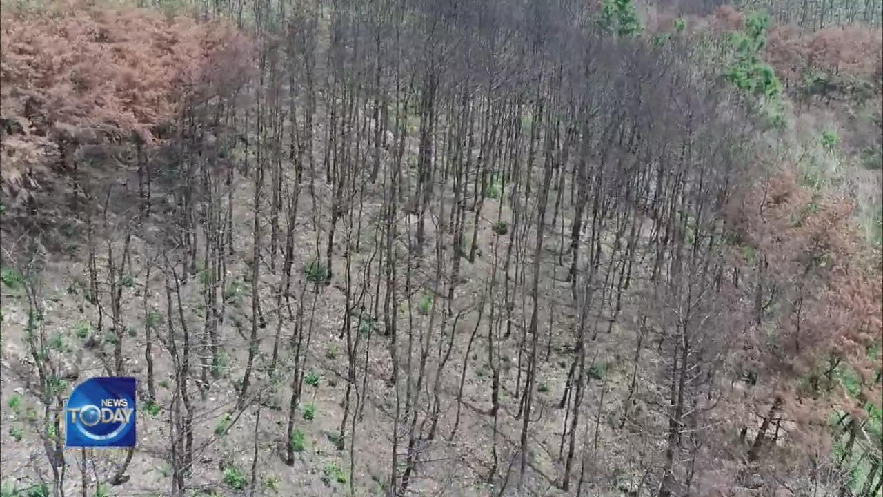 RISK OF LANDSLIDES WITH RAIN