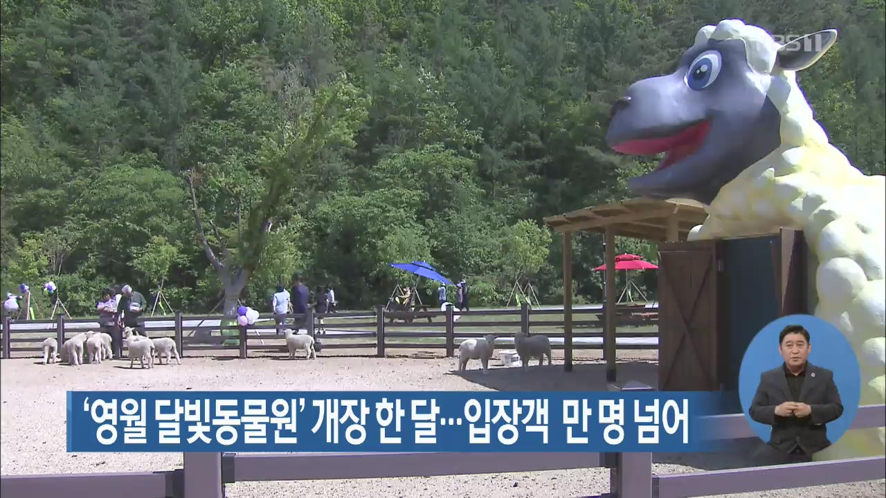‘영월 달빛동물원’ 개장 한 달…입장객 만 명 넘어