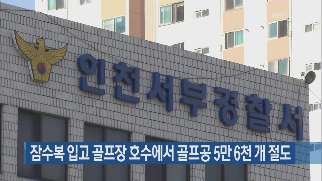 잠수복 입고 골프장 호수에서 골프공 5만 6천 개 절도