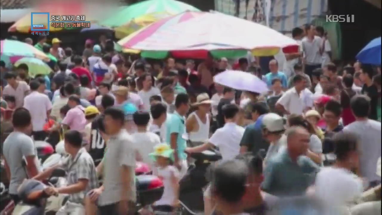 중국 개고기 축제 ‘논란’…식문화 vs 동물 학대