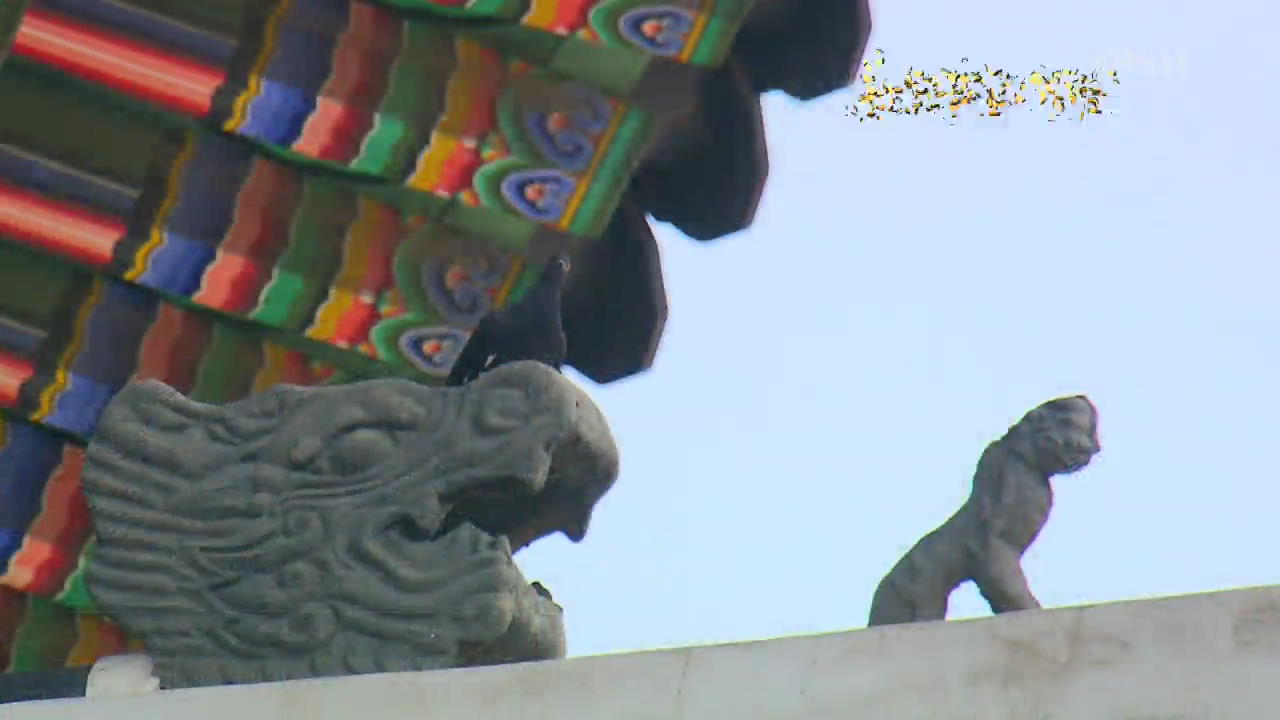 [뉴스광장 영상] 경복궁 근정전