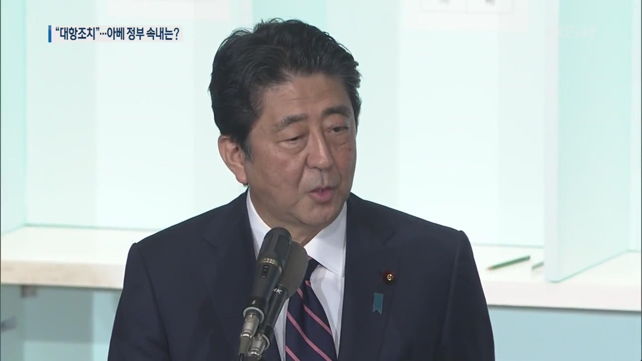 일본 내부서도 비판 여론…아베 정부 속내는?