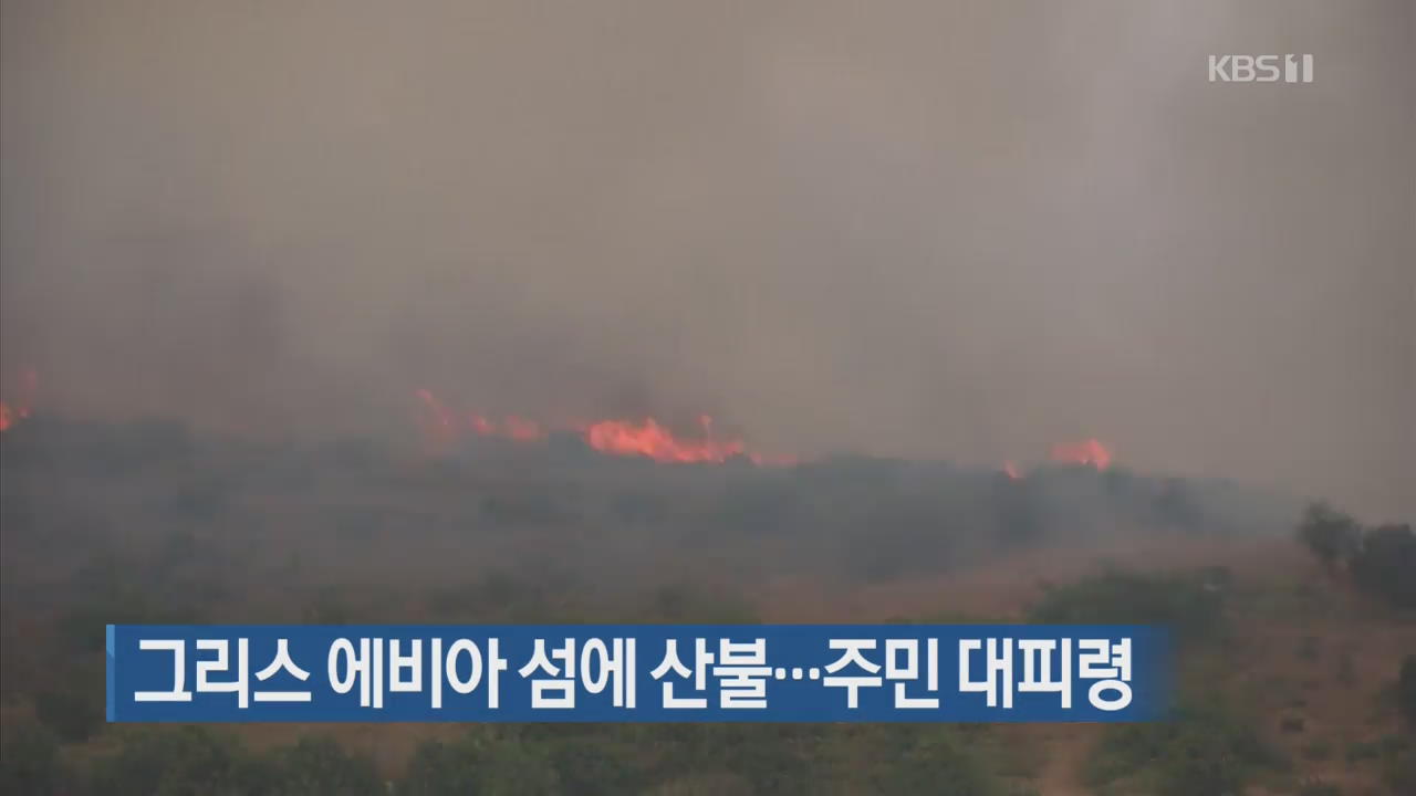 [지금 세계는] 그리스 에비아 섬에 산불…주민 대피령