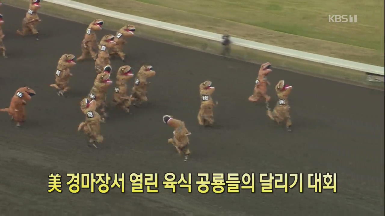 [클릭@지구촌] 美 경마장서 열린 육식 공룡들의 달리기 대회