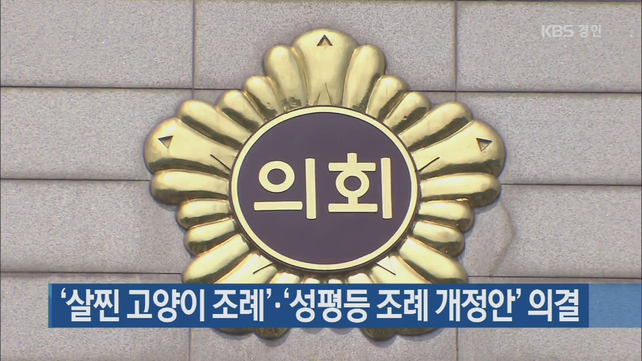 ‘살찐 고양이 조례’·‘성평등 조례 개정안’ 의결