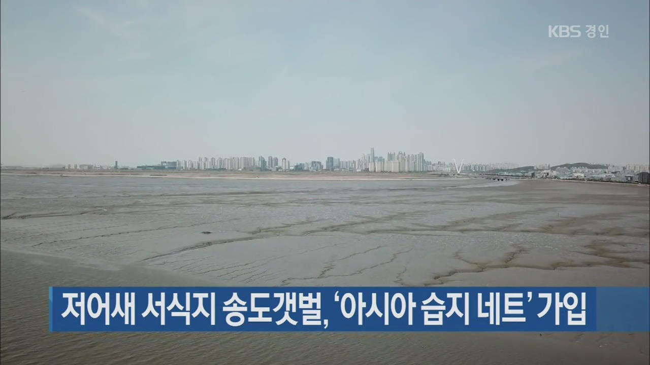 저어새 서식지 송도갯벌, ‘아시아 습지 네트’ 가입