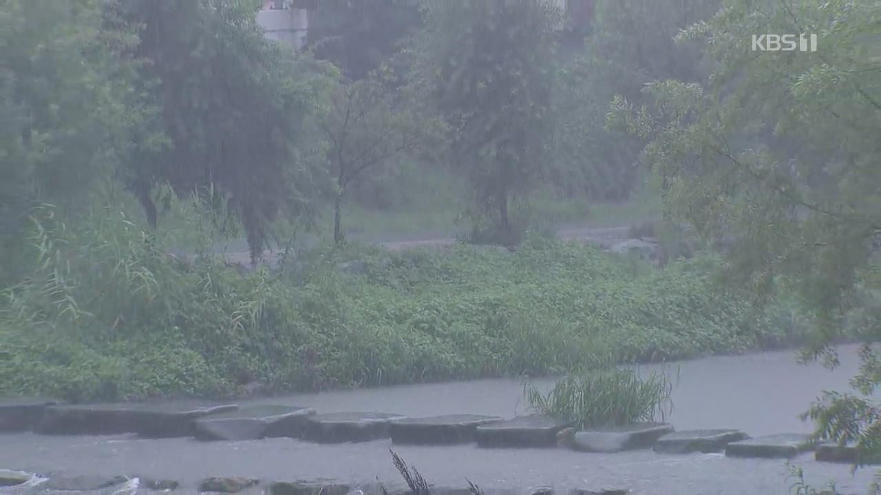 북부에 시간당 20mm 폭우…경기 많은 비 예보