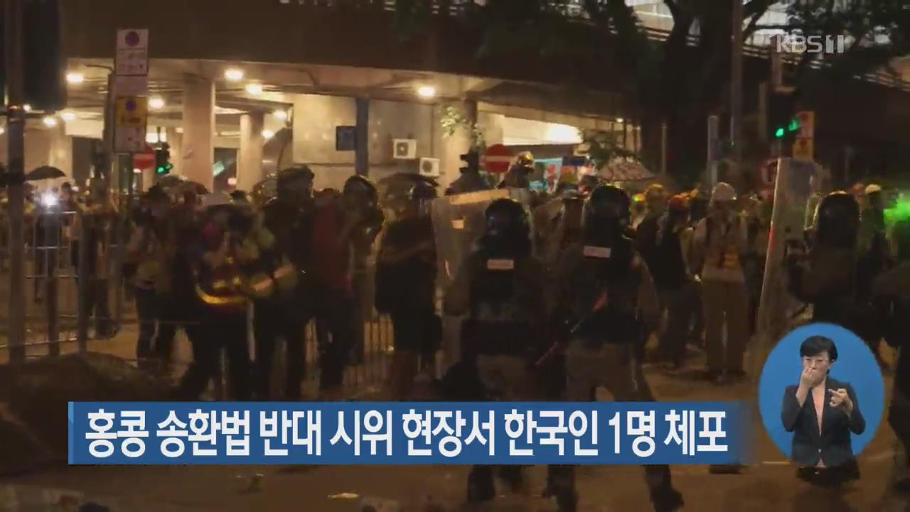 홍콩 송환법 반대 시위 현장서 한국인 1명 체포