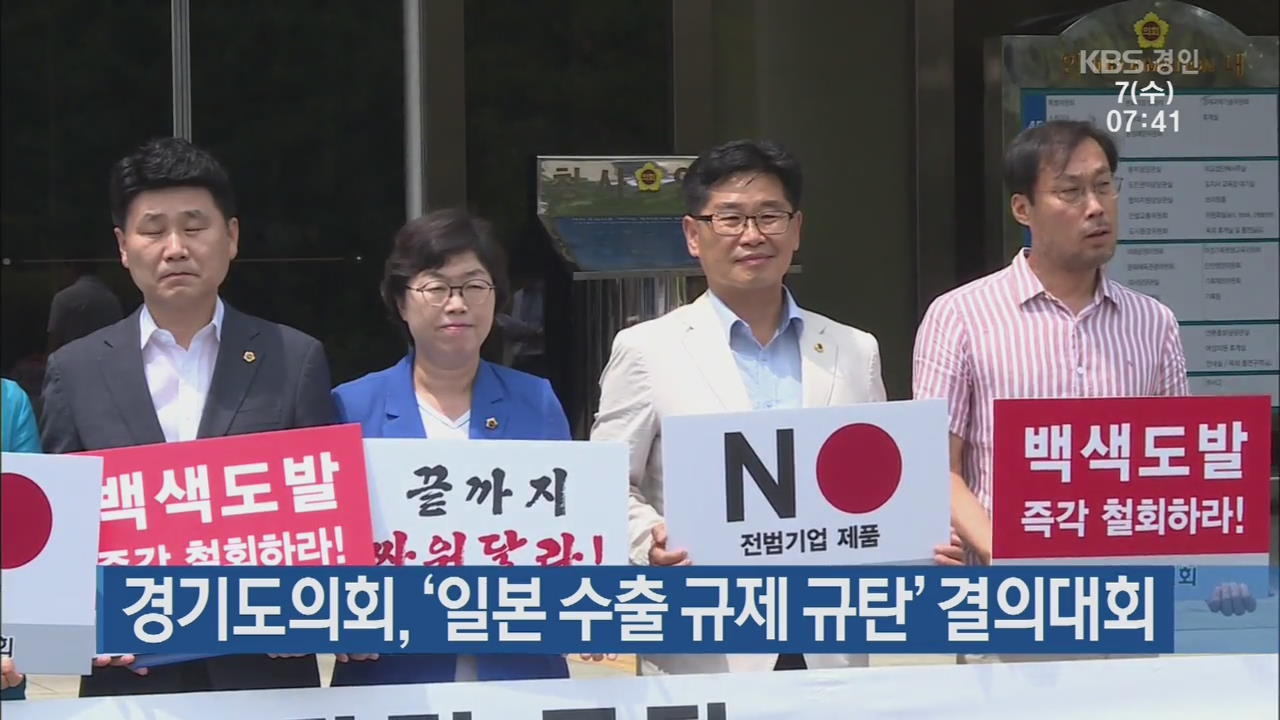경기도의회, ‘일본 수출 규제 규탄’ 결의대회