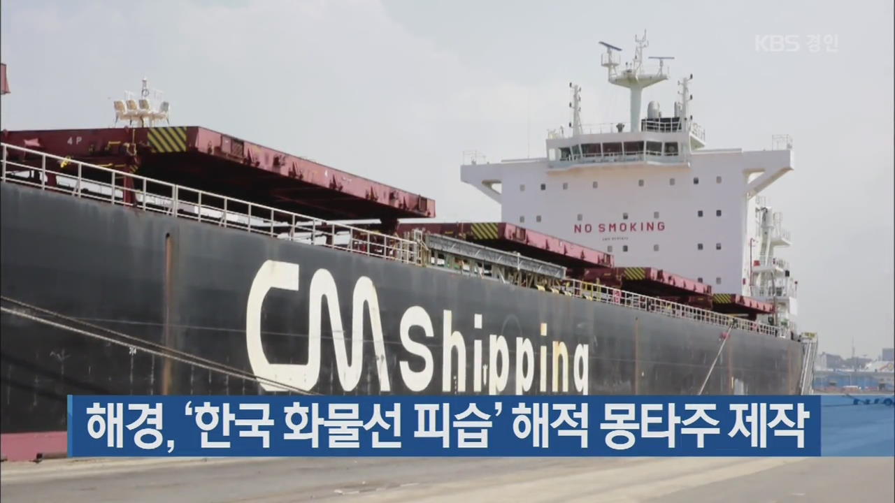 해경, ‘한국 화물선 피습’ 해적 몽타주 제작