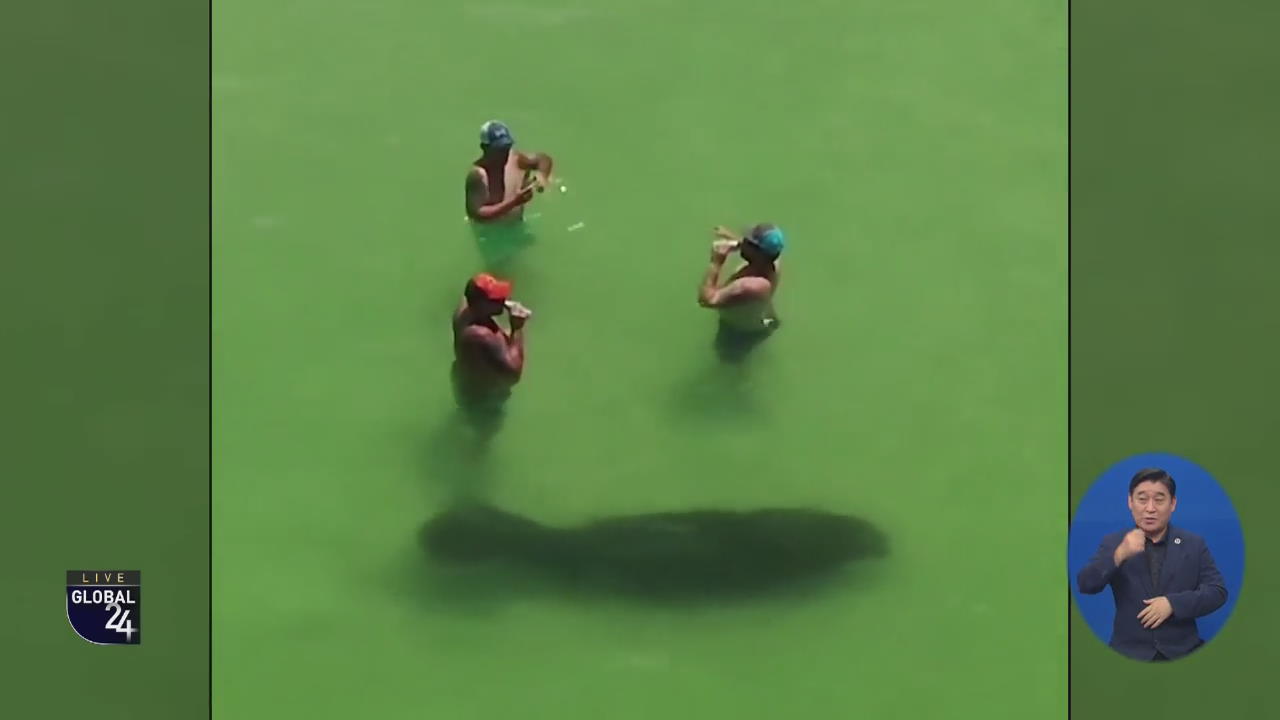 [글로벌 스토리] “상어인 줄…” 관광객 놀라게 만든 포유류