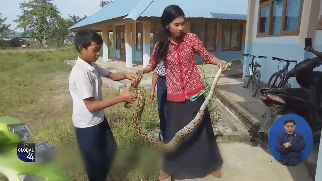 [글로벌 스토리] 3미터 뱀을 맨손으로…용감한 선생님