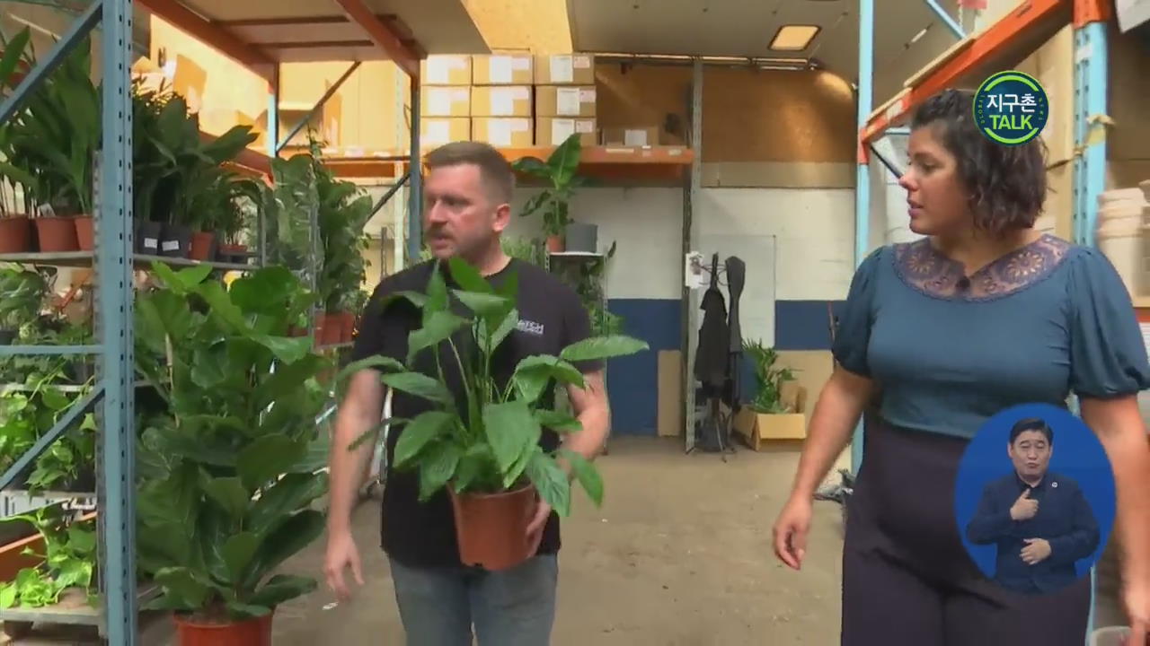 [지구촌 Talk] 세계 최초 ‘반려식물 호텔’ 등장