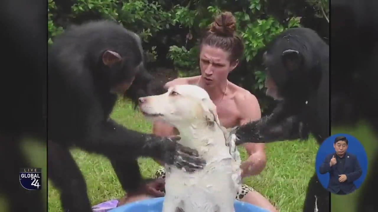 [글로벌 스토리] “어때 시원해?” 목욕 보조로 나선 침팬지