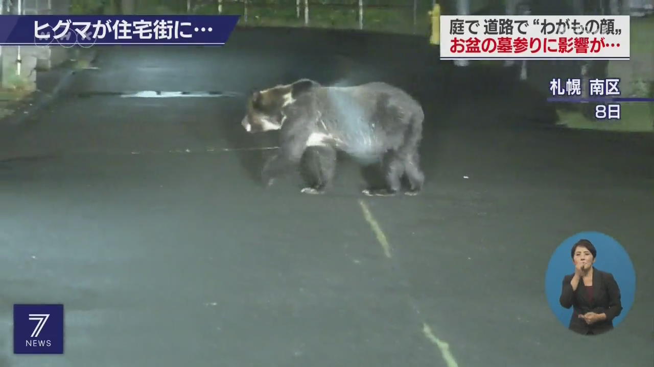 일본 삿포로 주택가에 곰 등장…주민 불안