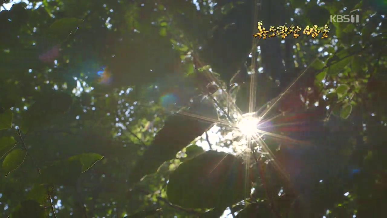 [뉴스광장 영상] 여름의 끝자락