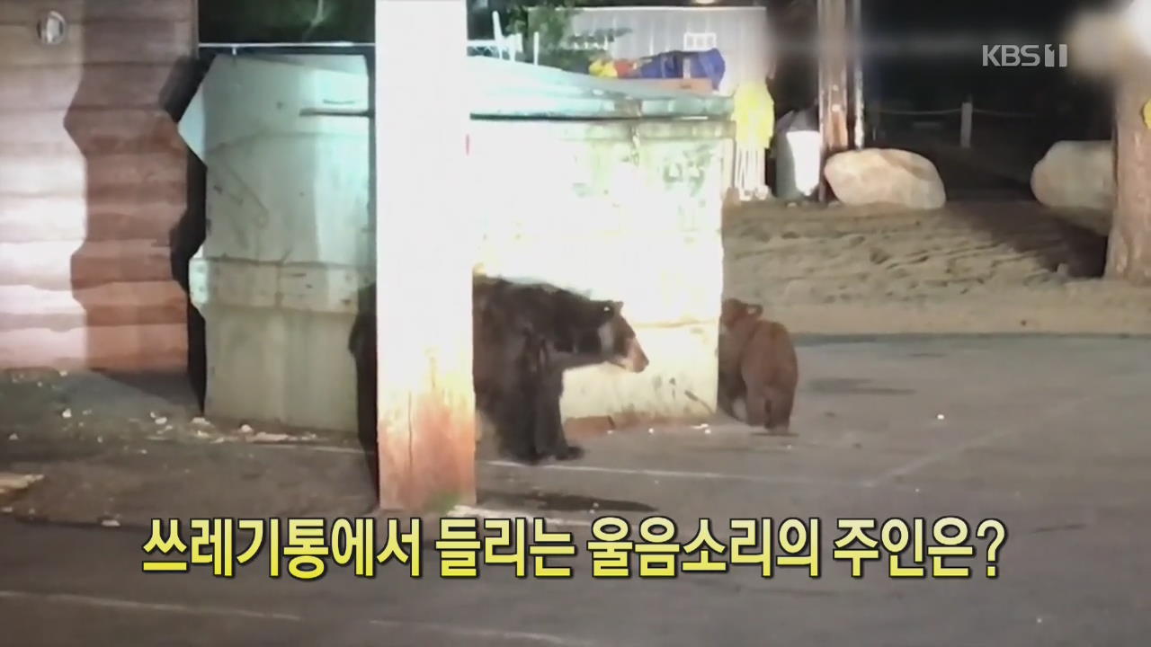 [클릭@지구촌] 쓰레기통에서 들리는 울음소리의 주인은?