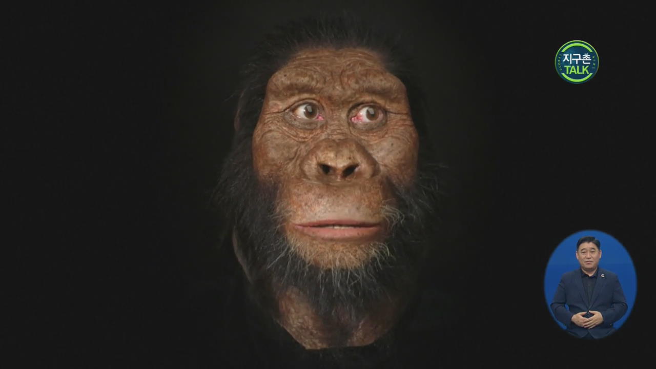 [지구촌 Talk] 380만 년 전 원시인류 얼굴 복원…‘루시’ 보다 턱 발달