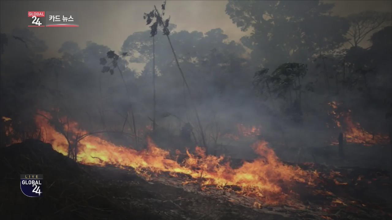 [글로벌24 카드뉴스] 불타는 ‘아마존’ 무너지는 생태계