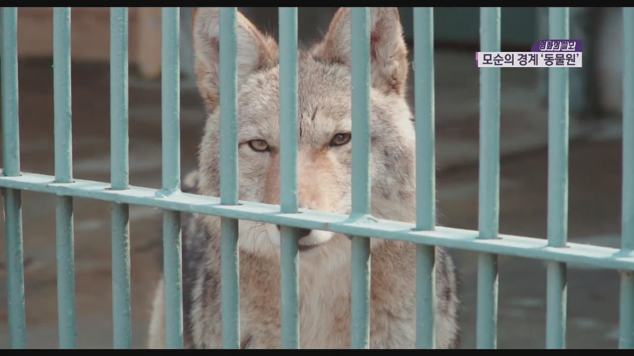 [영화의 쓸모] 동물권, 동물만의 문제 아니다