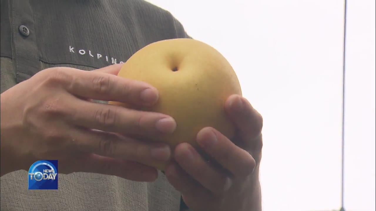 DOMESTICALLY CULTIVATED FRUITS