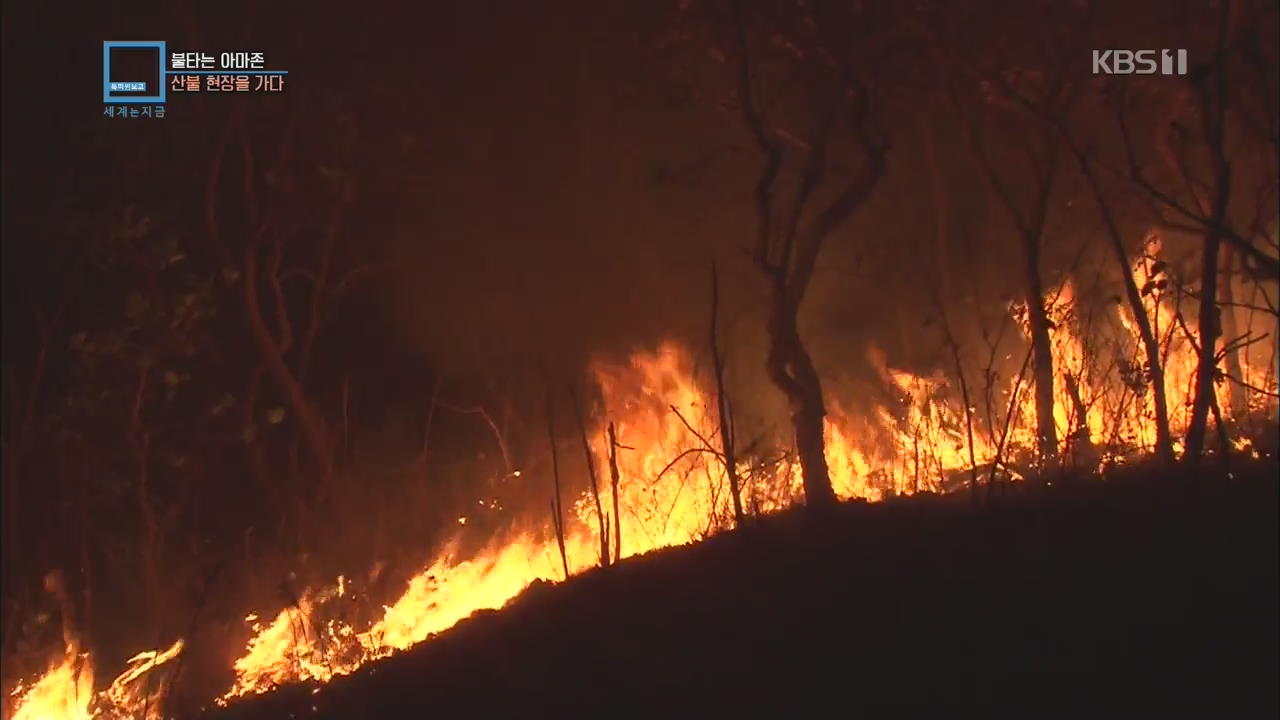 불타는 아마존…산불 현장을 가다