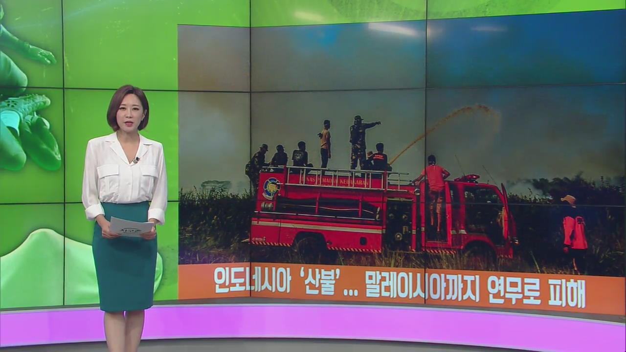 [지구촌 날씨] 인도네시아 ‘산불’…말레이시아까지 연무로 피해