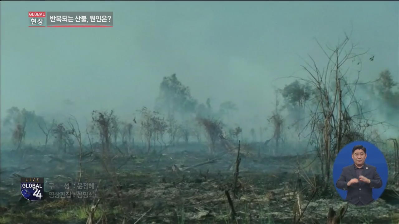 [글로벌24 현장] 인니 ‘산불 연무’…말레이시아·태국 비상