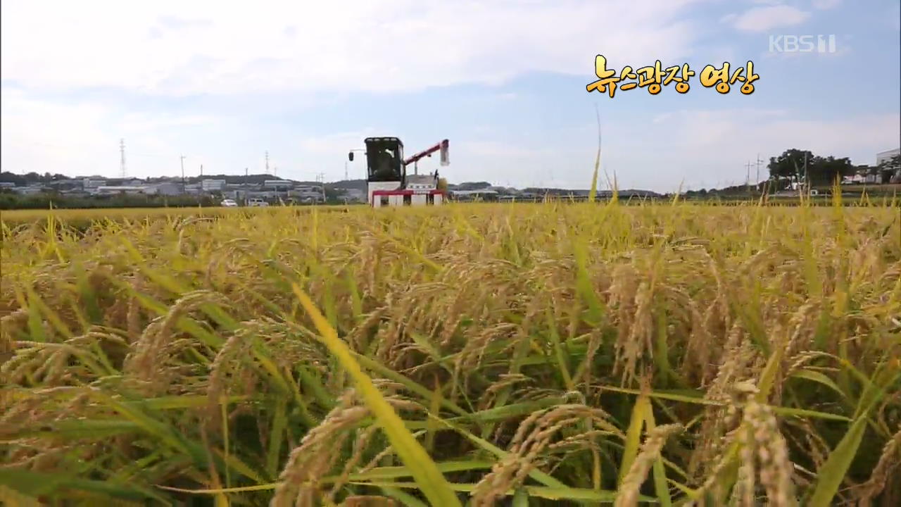 [뉴스광장 영상] 수확의 계절