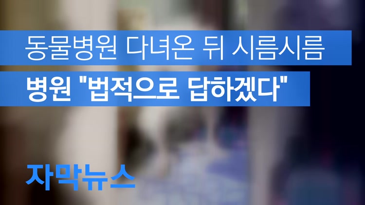 [자막뉴스] 동물병원 다녀온 뒤 시름시름…‘법적으로 답하겠다’는 병원