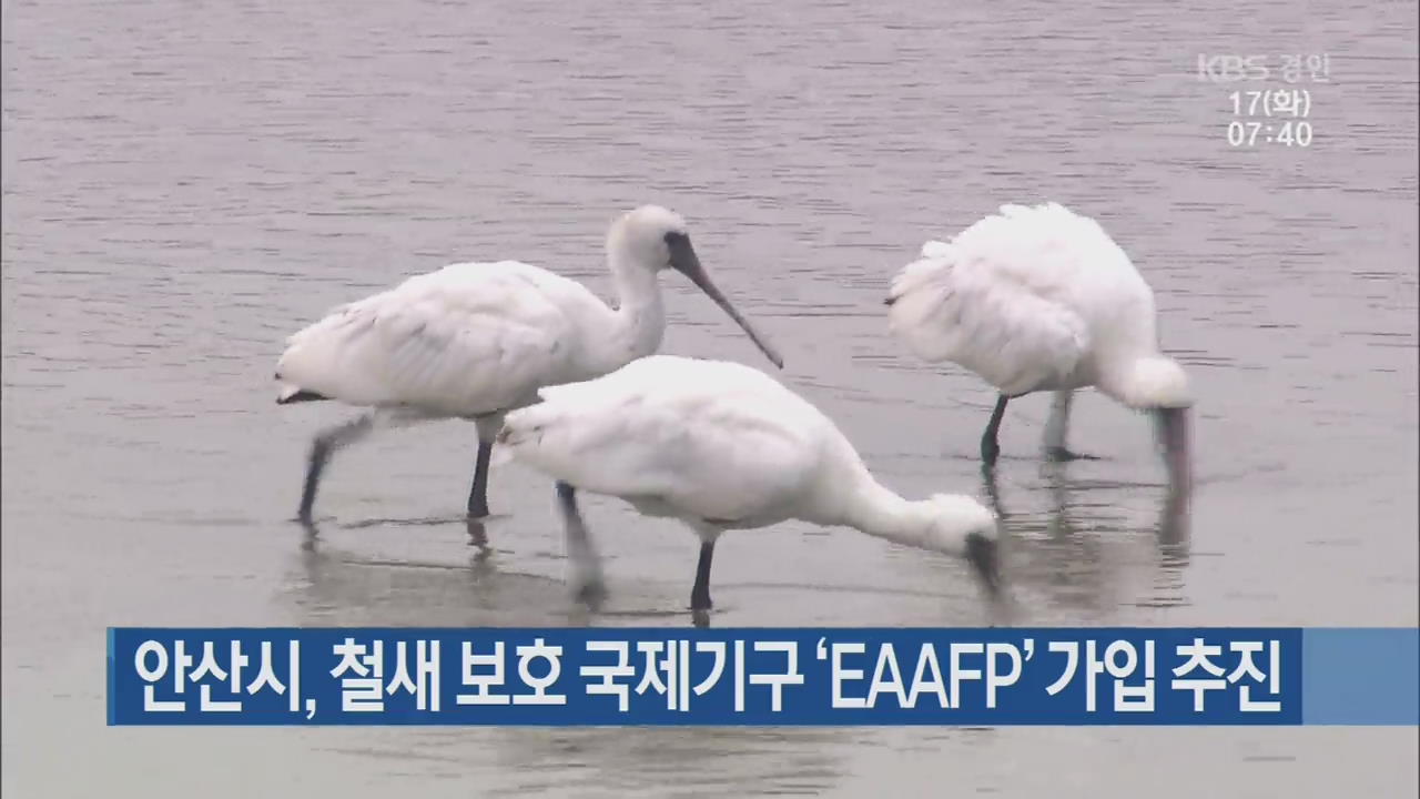 안산시, 철새 보호 국제기구 ‘EAAFP’ 가입 추진