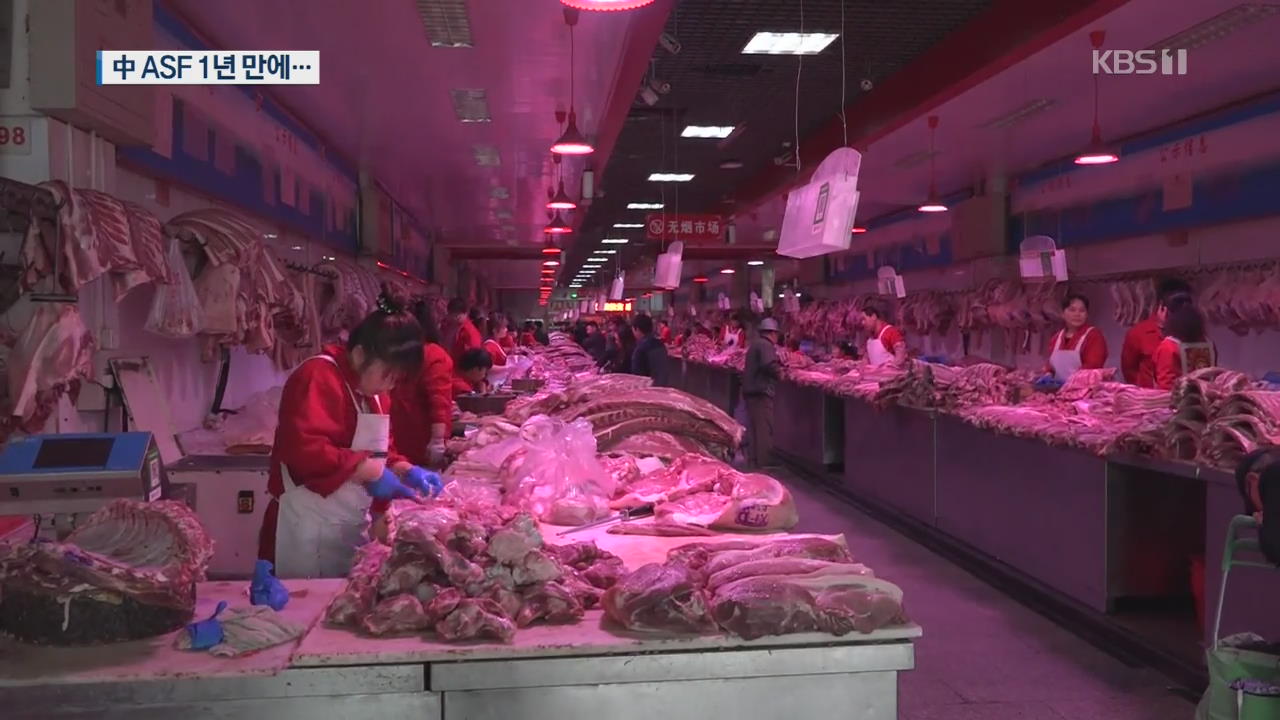 아시아 덮친 아프리카돼지열병…중국 고깃값 폭등