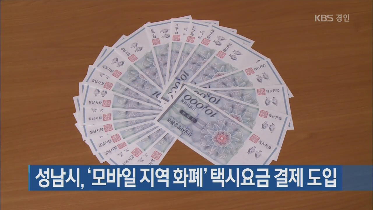 성남시, ‘모바일 지역 화폐’ 택시요금 결제 도입