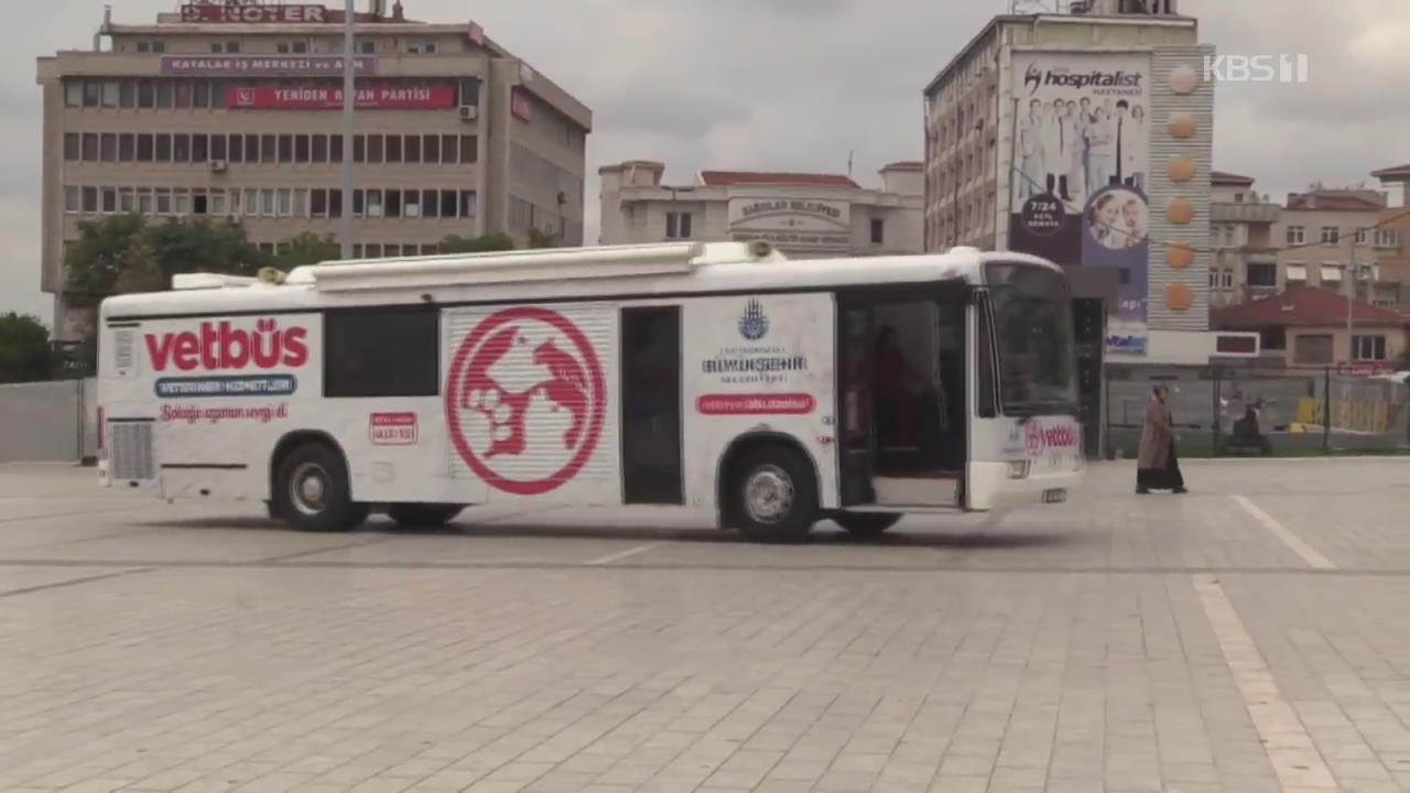 터키에 이동식 동물병원 버스 등장