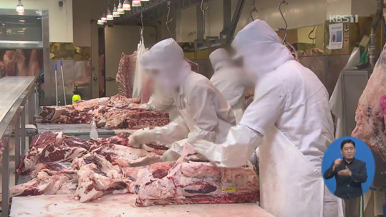 전국 ‘이동 중지’ 해제…발생 지역은 돼지 반출 계속 금지
