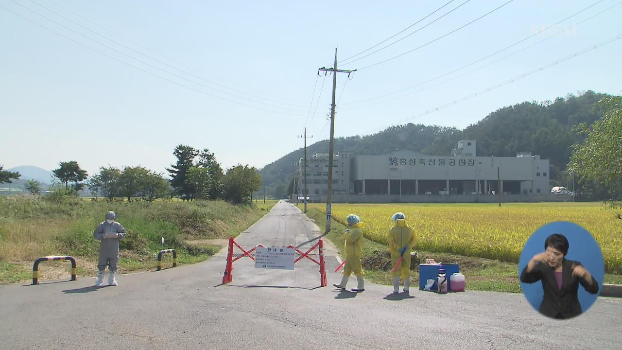 충남 홍성 ASF 최종 ‘음성’ 판정…“태풍 ‘미탁’ 대비해야”